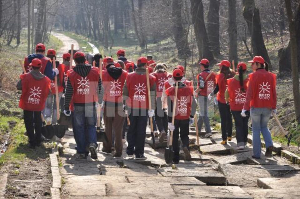 În „Luna Pădurii”: “Donează oxigen” - o campanie de împădurire inițiată de Bricostore și Direcția Silvică Suceava