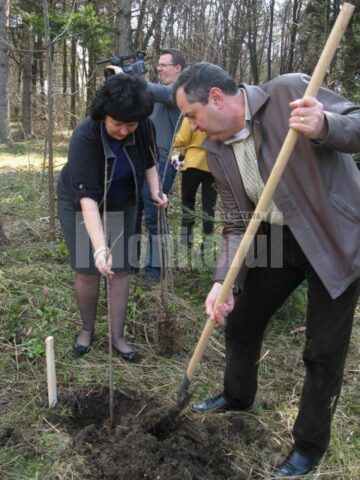 Luna Pădurii: Peste 300 de copaci au fost plantați în zona Cetății de Scaun