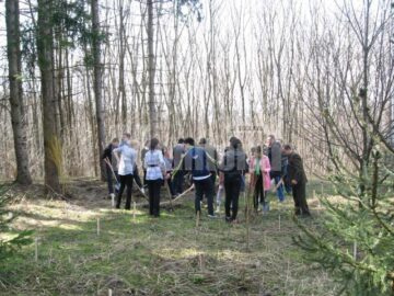 Luna Pădurii: Peste 300 de copaci au fost plantați în zona Cetății de Scaun