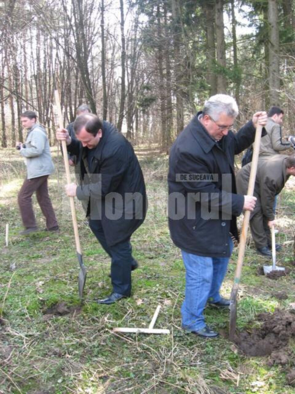 Gheorghe Flutur și Ion Lungu au lăsat pentru câteva ore munca administrativă și au venit la plantat copaci