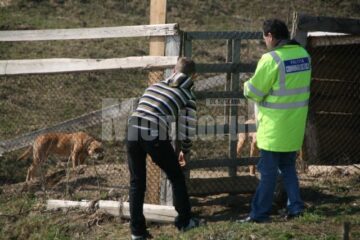 Polițiștii au strâns probe care să îi ajute să demonstreze că pibulii administratorului iazului sunt cei care au atacat-o pe femeie