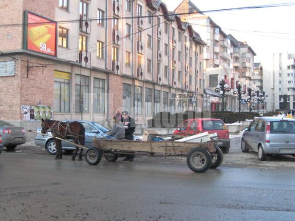 Căruțele care se aventurează pe străzile Sucevei vor fi “vânate” de Poliția Comunitară