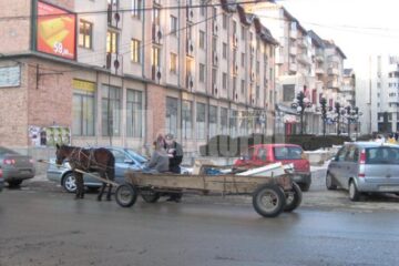 Căruțele care se aventurează pe străzile Sucevei vor fi “vânate” de Poliția Comunitară