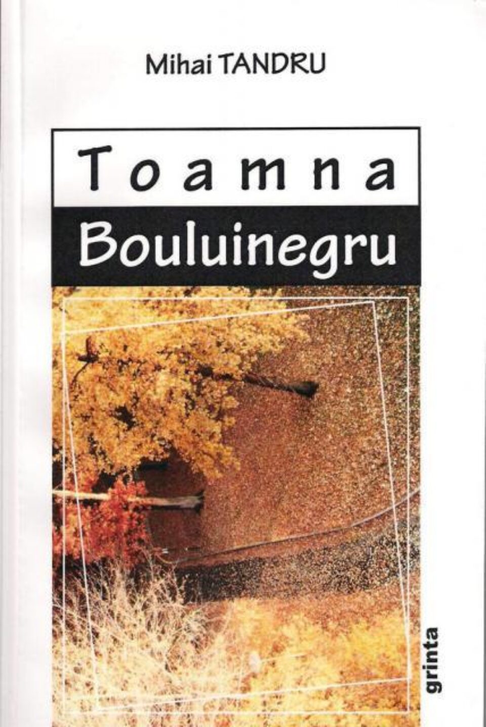 Carte: „Toamna Bouluinegru”
