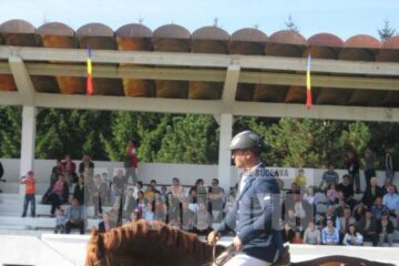 Timp liber: Spectacol cu cai de rasă pe hipodromul Hergheliei Rădăuți
