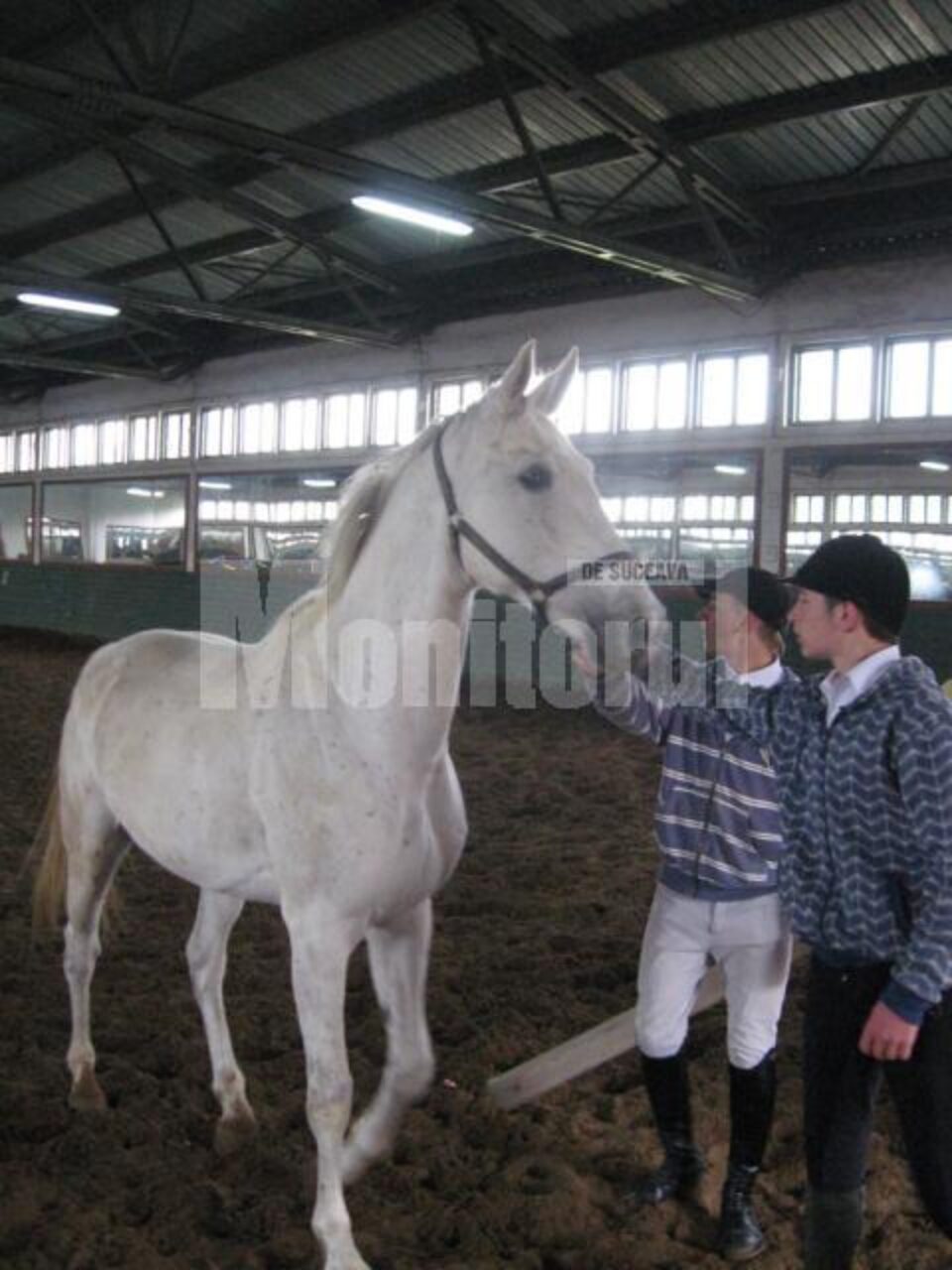 Fiecare cal are propriul spectacol și propriile tabieturi