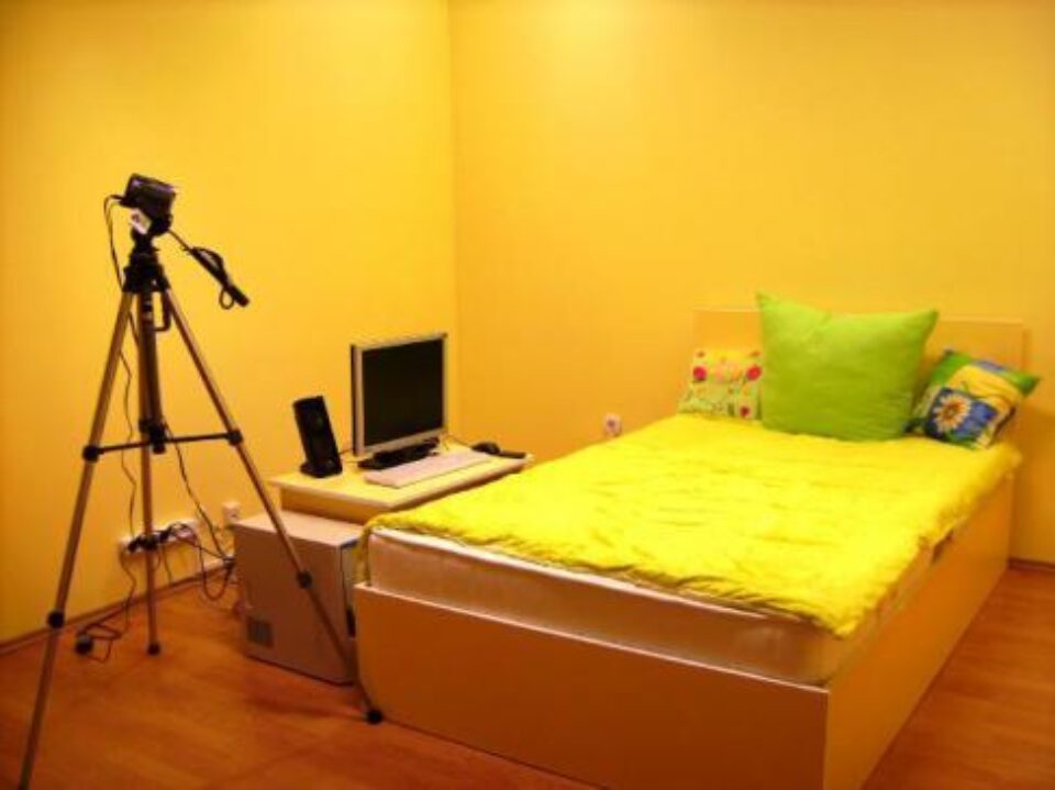 Camera de chat a unui model Foto: vixenstudio.net