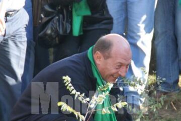 Acțiune: Sute de voluntari vor planta la Sadova 17.500 puieți de molid și larice