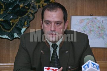 Acțiune: Sute de voluntari vor planta la Sadova 17.500 de puieți de molid și larice