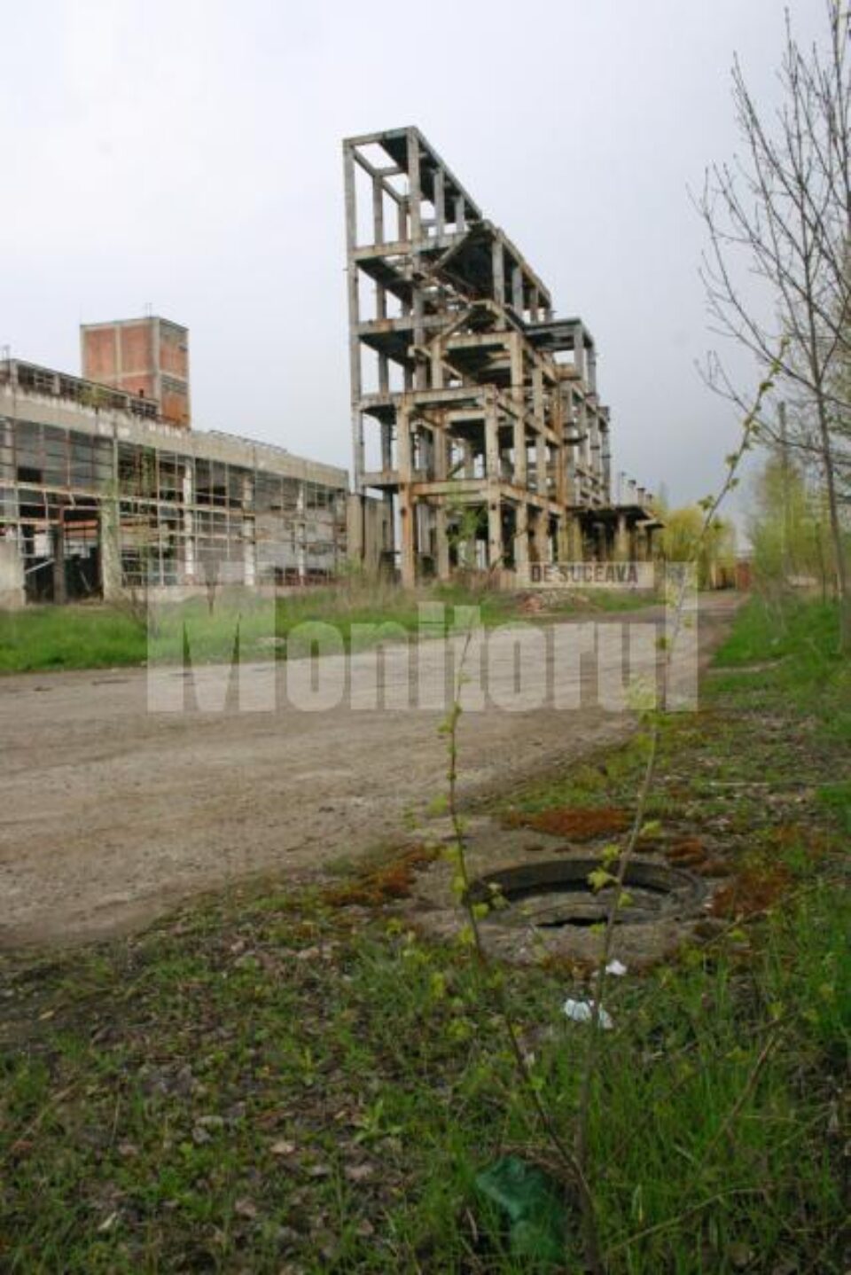 Ruinele fostei societăți METADET