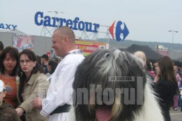 Câinii de rasă, vedetele Expoziției Chinologice Naționale organizată în parcarea Shopping City Suceava