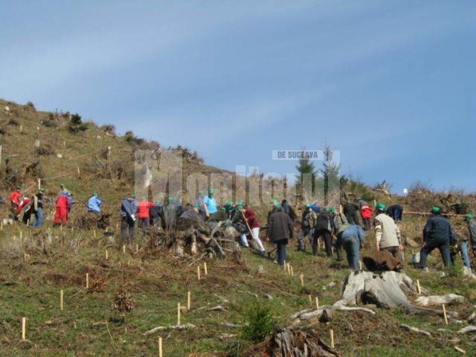1.400 de voluntari au participat la împădurirea unei suprafețe de 6,7 hectare de teren 1.400 de voluntari au participat la împădurirea unei suprafețe de 6,7 hectare de teren