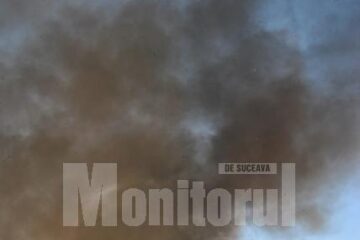 Aseară, în jurul orei 19.00, în zona mlăștinoasă dintre Iulius Mall și Termica. Foto: Andrei BUCULEI