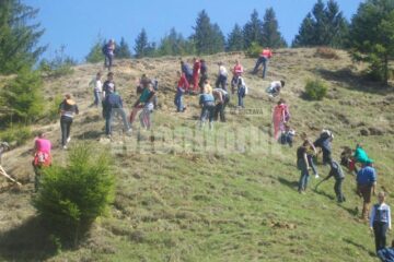 Elevii din Vatra Moldoviței au plantat 2.000 de arbori
