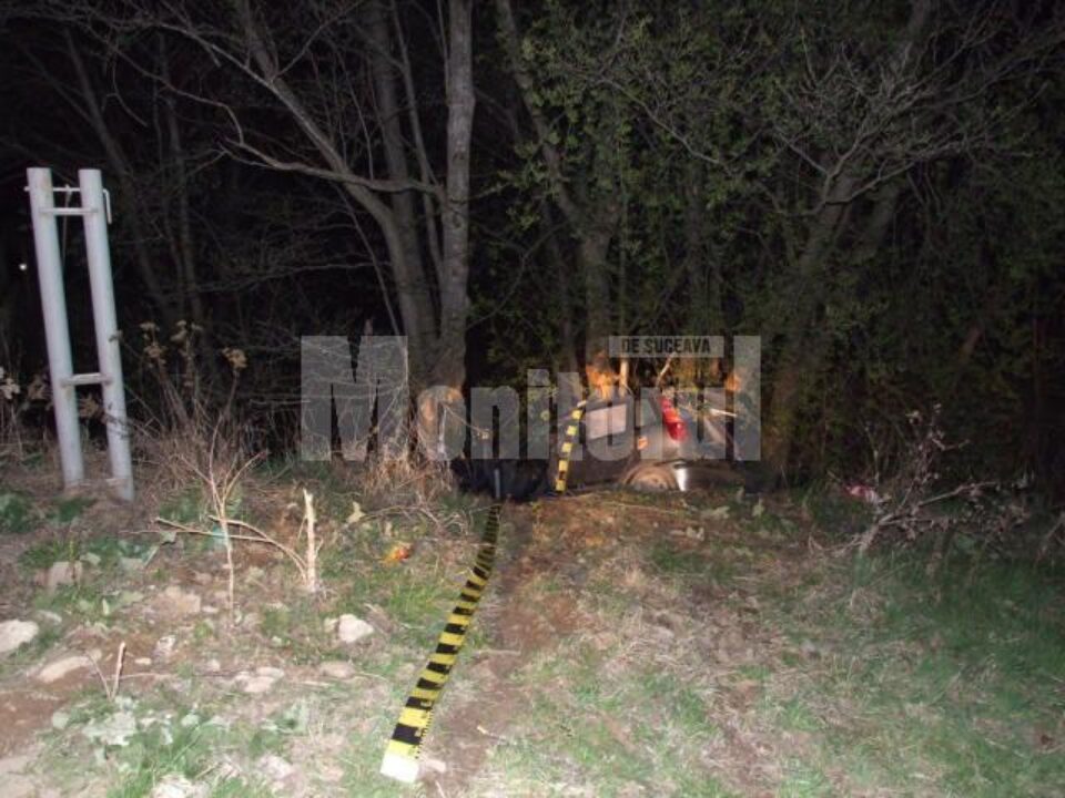 Mașina s-a izbit de mai mulți copaci