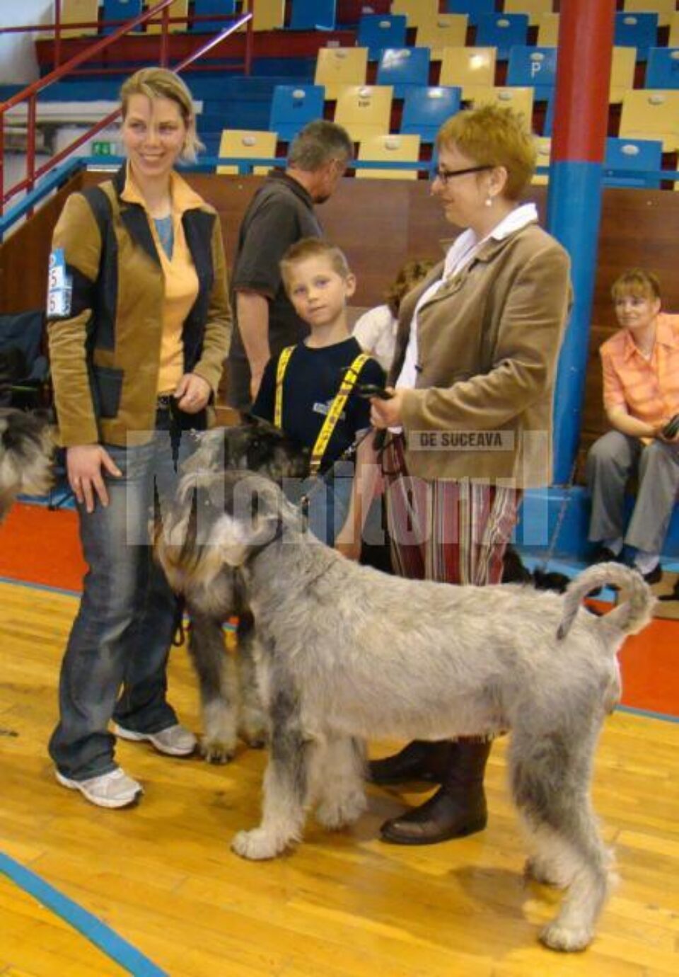 Schnauzerul Alma - Silver Senator Dream of World