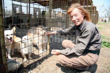 Christine Schulz: „Nu putem vorbi încă de o epidemie, cazurile sunt sub control și știu că și în oraș au apărut, nu numai la adăpost”