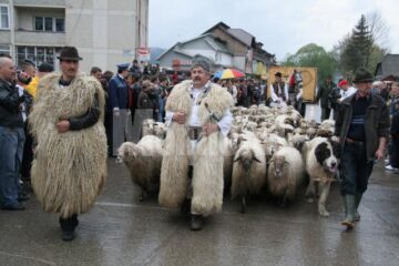 Festivalul prilejuit de urcatul oilor pe munte, cu petrecerea câmpenească de la Bucșoaia a fost anulat
