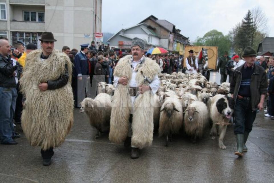 Festivalul prilejuit de urcatul oilor pe munte, cu petrecerea câmpenească de la Bucșoaia a fost anulat Festivalul prilejuit de urcatul oilor pe munte, cu petrecerea câmpenească de la Bucșoaia a fost anulat