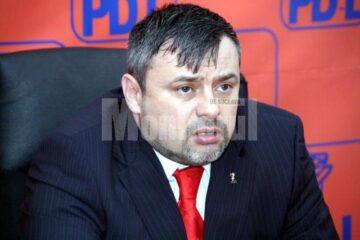 Organizare: Democrat- liberalii suceveni își aleg președintele de Ziua Americii