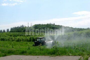 Din cauza lipsei banilor, doar o mică parte din tratamentele necesare au fost realizate