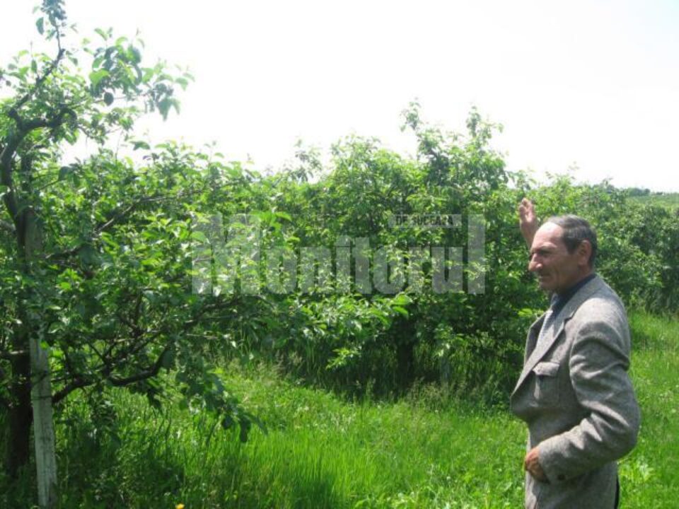 Directorul Stațiunii, Gheorghe Iacobuță, explicând dimensiunile dezastrului