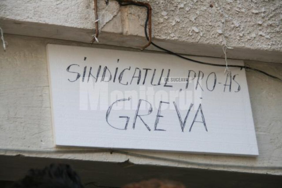 Sindicaliștii din asistență socială vor declanșa luni, pe 31 mai, grevă generală