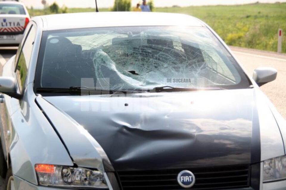 Fiat-ul a suferit avarii considerabile (capotă, far, și parbriz)