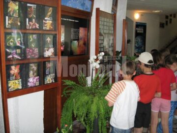 Copii vizitând expoziția