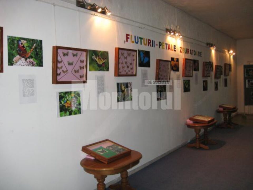 Expoziția Fluturii - petale zburătoare