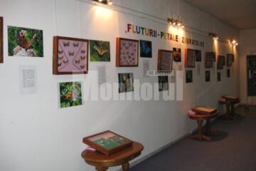 Expoziția Fluturii - petale zburătoare