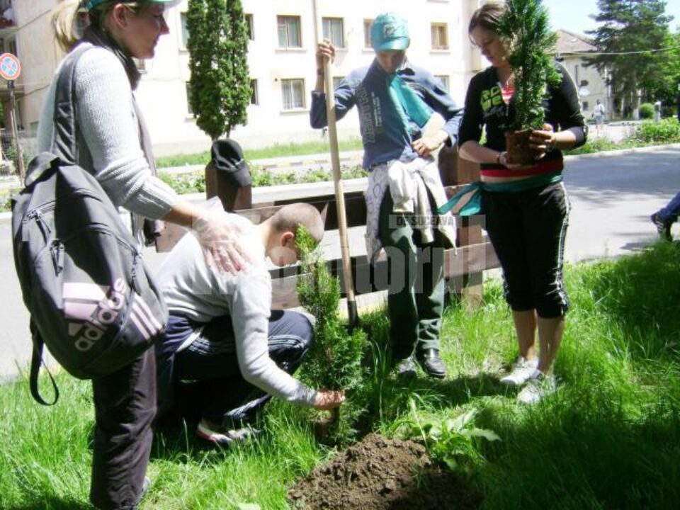 Ziua Mediului: Parcuri curate pentru o viață sănătoasă