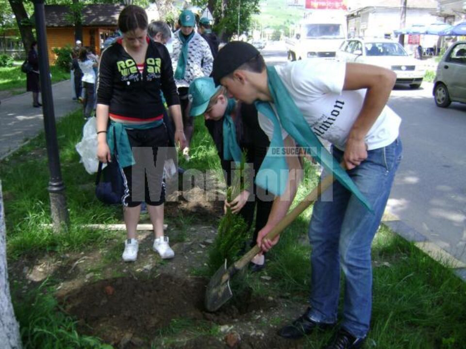Ziua Mediului: Parcuri curate pentru o viață sănătoasă