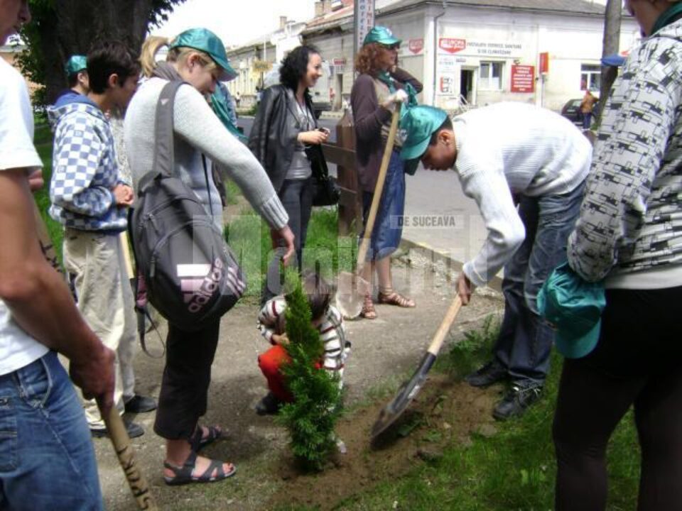 Ziua Mediului: Parcuri curate pentru o viață sănătoasă