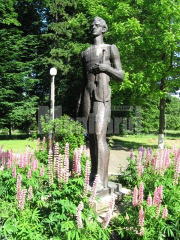 Statuia lui Ciprian Porumbescu din parcul muzeului, realizată de D. Căileanu