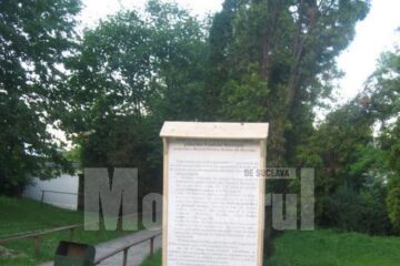 Informare: Afișaj la mănăstiri și biserici cu privire la retrocedarea pădurilor bisericești