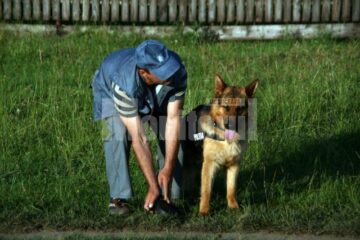 Închis în celulă: Dezaxatul sexual căutat de toată poliția din Suceava a fost prins, însă a mai făcut o victimă