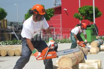 Demonstrații de forță și îndemânare, la Festivalul Tăietorilor de Lemne