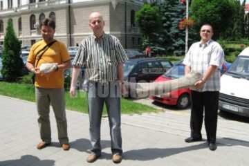 Remarcabilă descoperire paleontologică: Fosile de mamut în albia râului Moldova