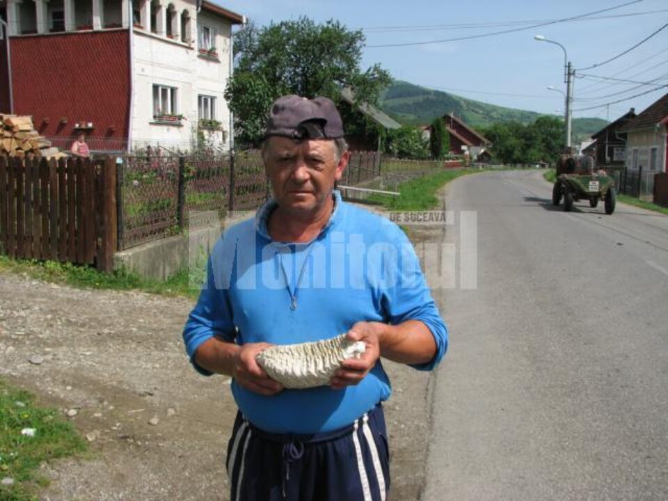 Marcel Șomâtcă și măseaua de mamut pe care a găsit-o în zona Bucșoaia-Voroneț
