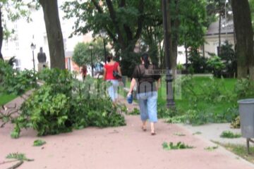 Copaci rupți de furtună, în parcul central al Sucevei