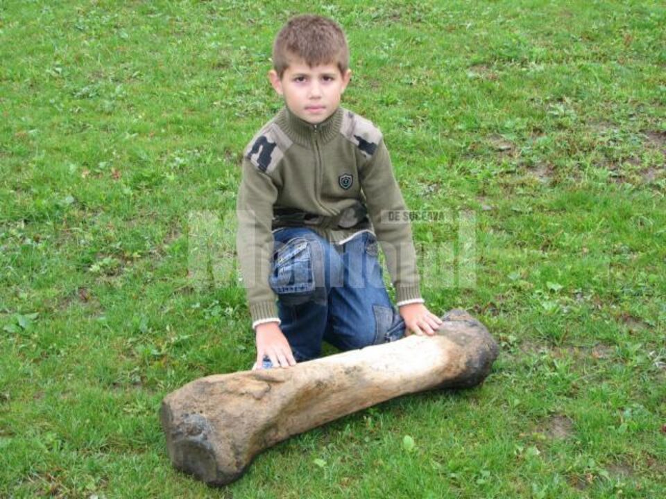Fabian Dolcean cu osul de mamut descoperit în albia râului Moldova