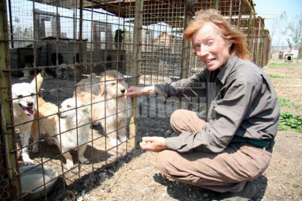 Nemțoaica Christine Schulz, una dintre cele mai înfocate voluntare pentru protecția câinilor comunitari din Suceava