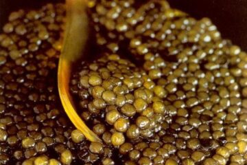 Caviarul, folosit ca tratament de lux în domeniul manichiurii