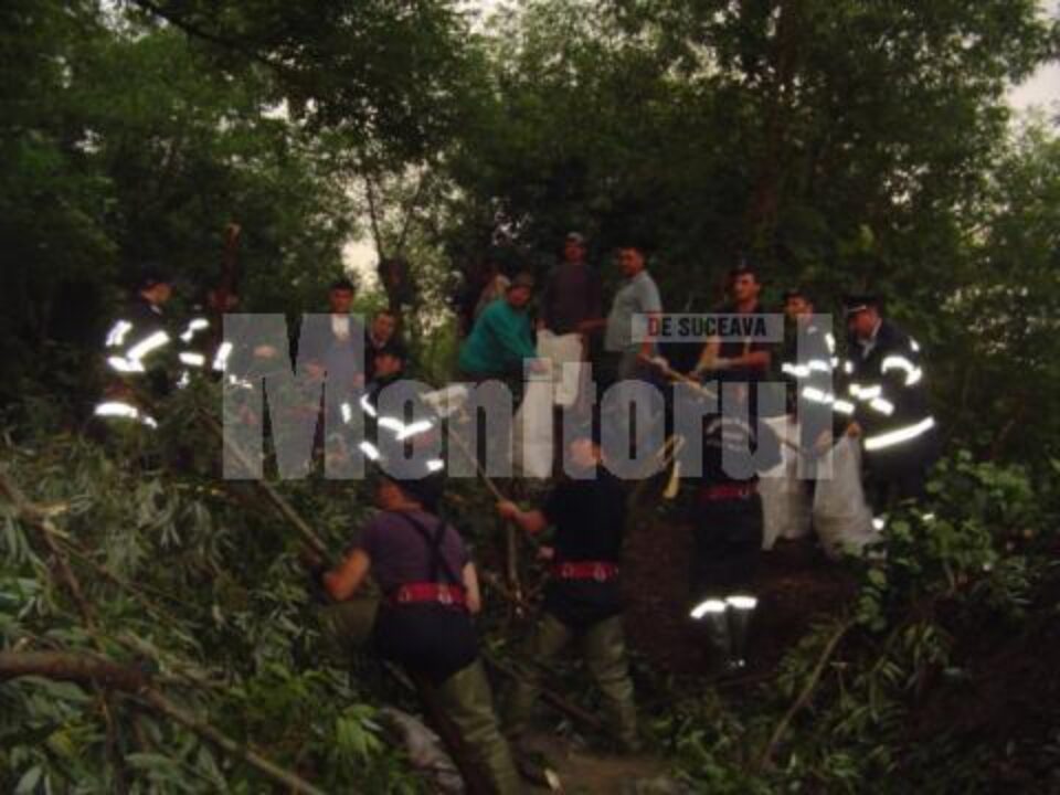 Operațiune de decolmatare a albiei pârâului și de crearea a unui dig de protecție din arbori Operațiune de decolmatare a albiei pârâului și de crearea a unui dig de protecție din arbori