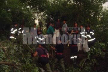 Operațiune de decolmatare a albiei pârâului și de crearea a unui dig de protecție din arbori