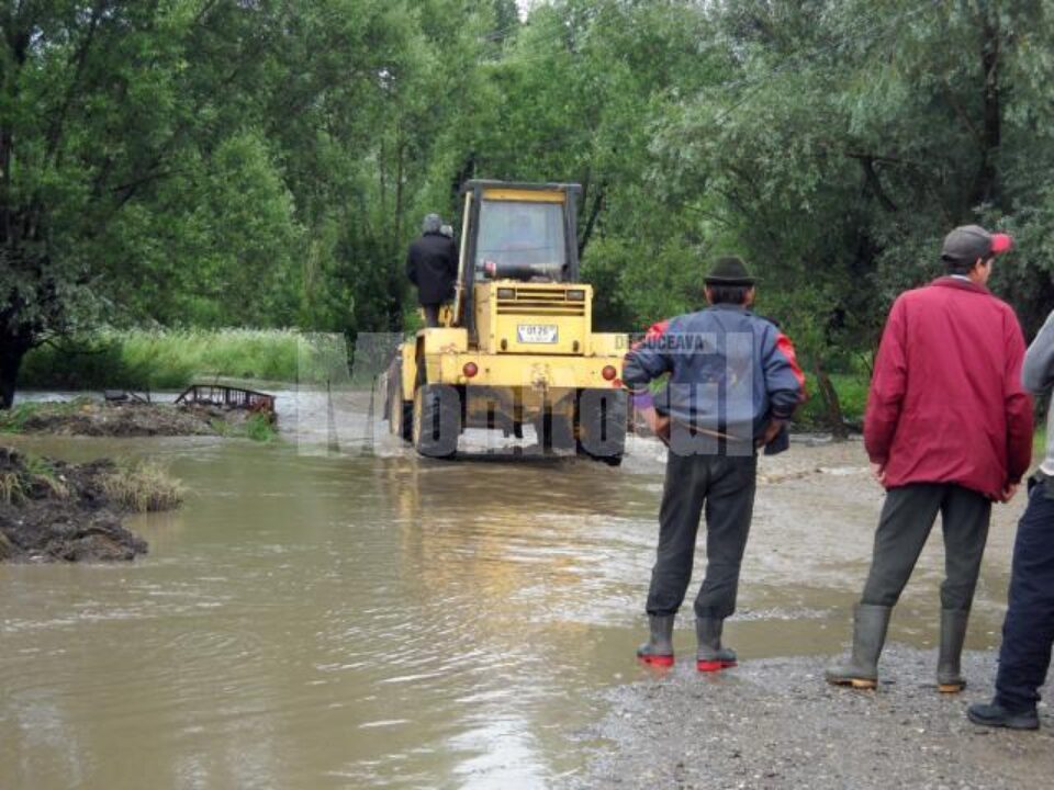 Pârâul Țântii a ieșit din matcă, inundând cinci gospodării