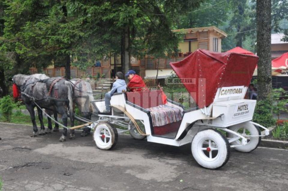 La „Căprioara” se pot organiza plimbări cu caleașca
