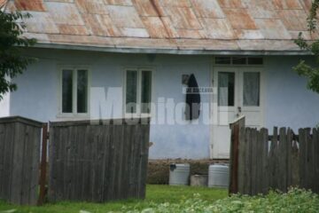 Casa parasita in graba