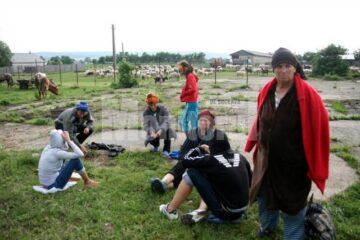 Evacuați cu animalele